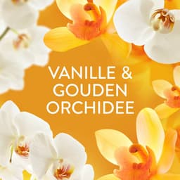 4 x Lenor - Wasverzachter - Amber & Orchidee - Fris & Zacht - 55 Wasbeurten - Wasverzachter - Lenor - Amber & Orchidee - Geur - Frisheid — thumbnail 4