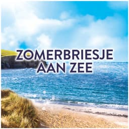 Lenor Geurbooster Zomerbriesje aan Zee - 6 x 240 gram - Wasparfum — thumbnail 3