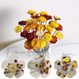 Gedroogde bloemen, droogbloemen, decoratie — thumbnail 2