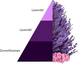 HOROMIA Aromatic Lavender 500ml — thumbnail 3