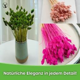 Dekogras Gedroogd Gras Siergras Kanariegras Phalaris Droogbloemen Natuurlijk Boho Ca. 100 Stuks 80 g Donker Roze — thumbnail 2