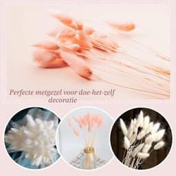 Pampasgras, decoratie, 50 stuks, herbruikbaar, roze + wit, doe-het-zelf droogbloemen, gedroogd, voor woonkamer, bruiloft, tafel, bloemen, arrangementen thuis, decoratie, geen vaas — thumbnail 2