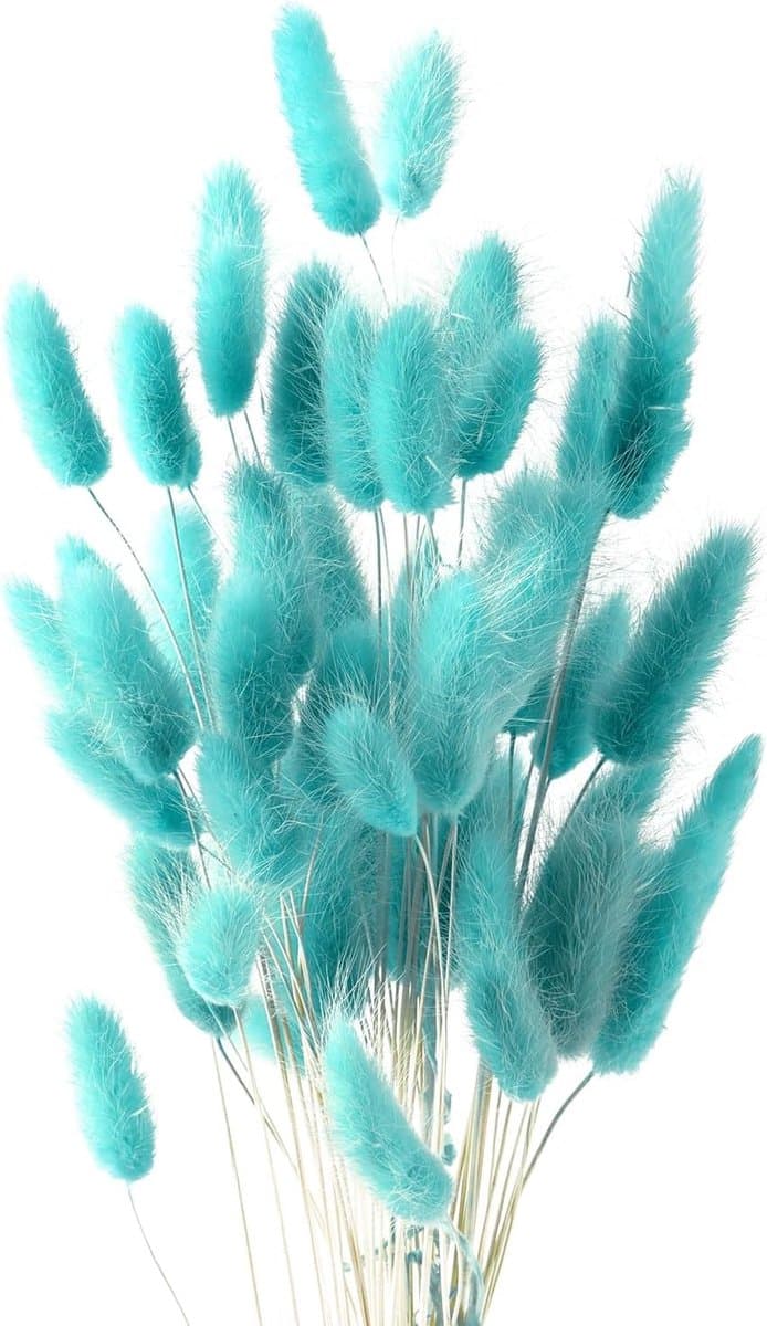 Gedroogde Bloemen Super Fluffy voor Decoratie Slaapkamer, Tafel, Wand (Licht Tiffany Blauw) — afbeelding 1