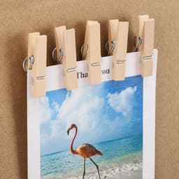 50x Houten Pushpins met Clips voor Kantoor, School en Decoratie — thumbnail 3