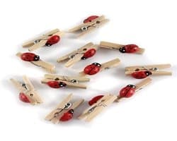 Houten Mini Knijpers Vlinderdas Decoratie Set van 12