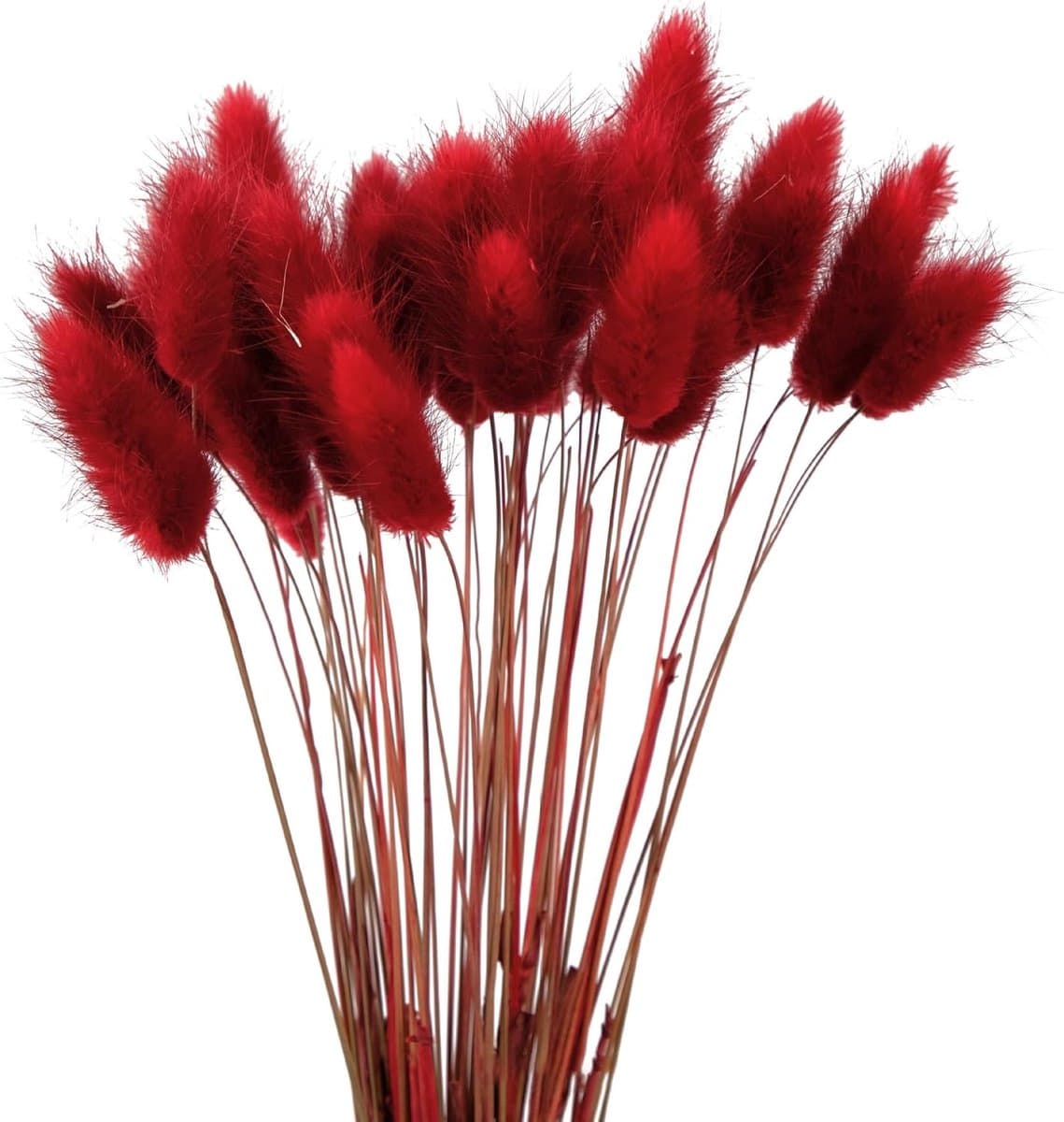 60 stuks 40 cm natuurlijke droge bloemen decoratie, gedroogd pampagras decoratie, verwelkende niet droge bloemen, boho decoratie, super pluizig voor bloemstukken, thuisdecor, rood — afbeelding 1