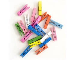 Mini houten wasknijpers 100 stuks - Veelkleurige clipjes voor kleding en foto's — afbeelding 1