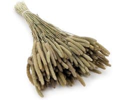 Mech-mech Gedroogd Timothy-gras - naturel