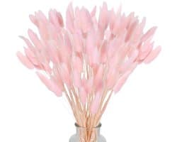 Gedroogd pampasgras, konijnenstaart, gras, 60 stuks, natuurlijke droogbloemen, boeket, decoratie, kunst, groot, droogbloemen, pampasgras voor interieur, fotografie, bruiloft, roze