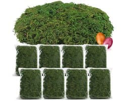 200g groen doe-het-zelf-knutselmos voor paasmanden - echt decoratief mos voor het knutselen en decoreren van paasmanden (Set2 - decoratief mos - 200g)