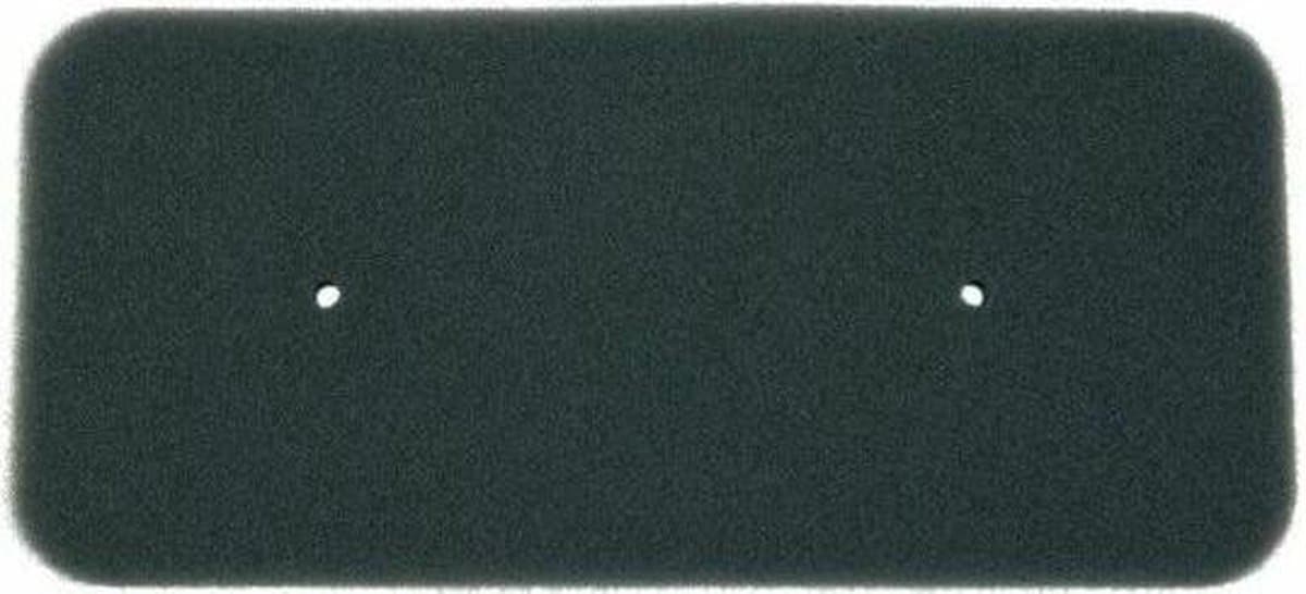 Hoover Filter Schuimfilter DYH9913NA, VHC980ATX, DYC9813AX 40006731 — afbeelding 1