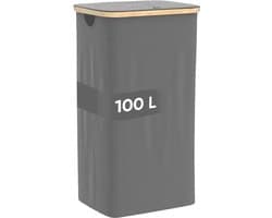 DARI. Wasmand 100L - Opvouwbare wasmand - Uitneembare waszak - Wassorteerder - Grijs
