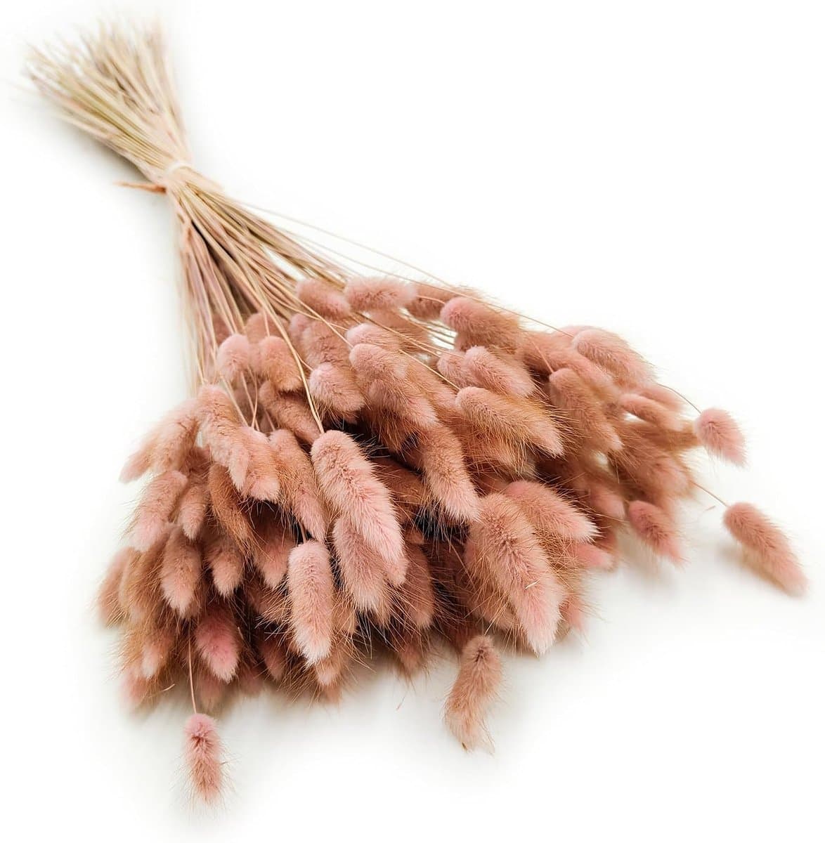 Dekogras gedroogd gras, siergras, konijnenstaarten, Lagurus Ovatus, fluwelen gras, hazenstaartgras, gedroogde bloemen, natuurlijk, boho, 120-150 stuks, 100 g, oudroze — afbeelding 1