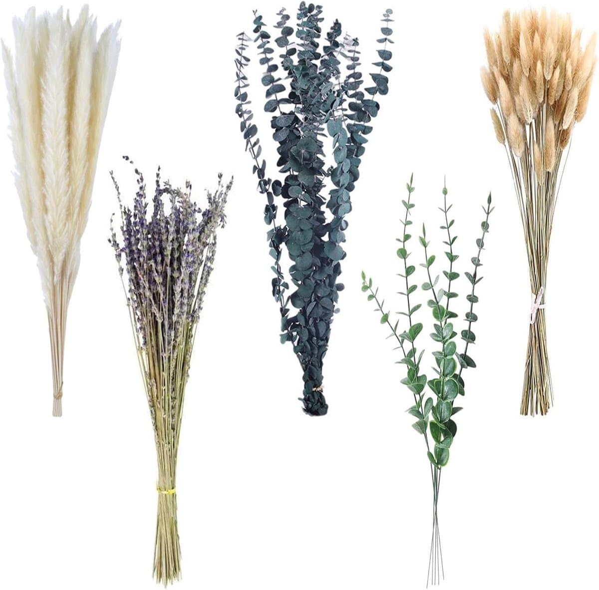 Gedroogde natuurlijke bloemen, decoratief pampasgras, compleet met gedroogde bloemen, decoratie in boho-stijl, voor huis, tuin, feest, kantoor om te knutselen — afbeelding 1