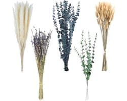 Gedroogde natuurlijke bloemen, decoratief pampasgras, compleet met gedroogde bloemen, decoratie in boho-stijl, voor huis, tuin, feest, kantoor om te knutselen