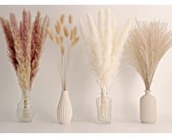 65 stuks Pampasgrasdecoratie, inclusief Pompas Bloemen, Gedroogd Rietgras en Konijnenstaarten Gedroogde Bloemen, Natuurlijk Gedroogd Pampasgras Boeket voor Boho Decoratie Bruiloft