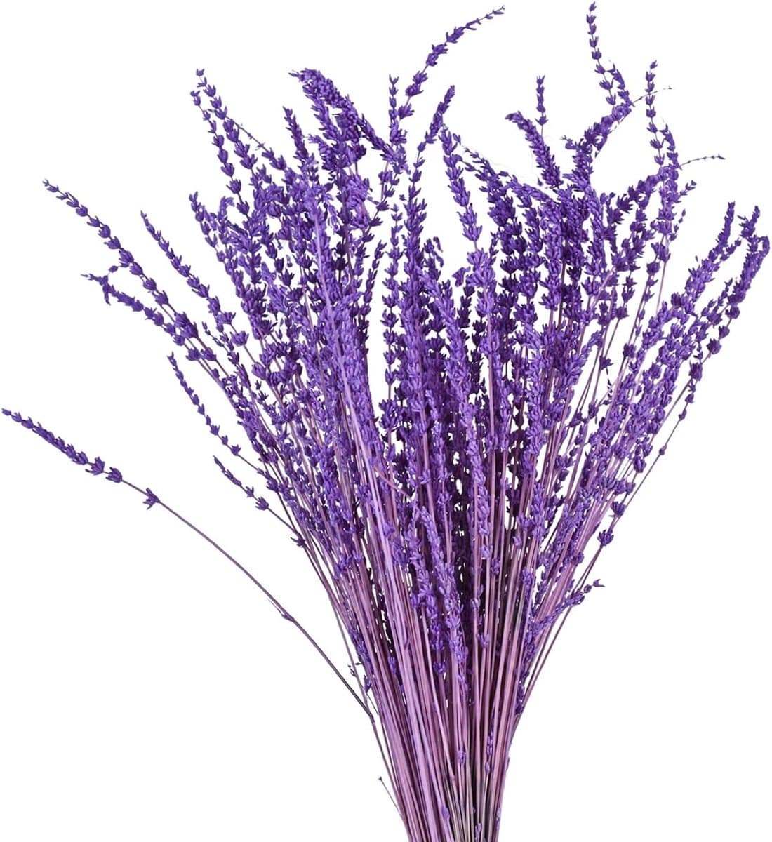 Gedroogde lavendel, 30 cm, droogbloemen, boeket, natuurlijke lavendel, bundel, 60 g, bloemen, decoratief boeket voor feestjes, bruiloft, decoratie, doe-het-zelf wooncultuur — afbeelding 1
