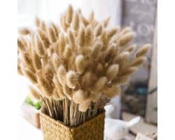 Gedroogde bloemen, natuurlijke kleur droogboeket, gedroogde bloemen perfect voor bruiloften, huisdecoratie, thuis, feest, bruiloft, vaas, decoratie