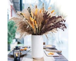 66 stuks pampasgras decoratie droge bohemien tafeldecoratie, Bunny-Tails-droogbloemen, bruin en oranje edelsteen gras voor bruiloften, rustieke feestjes en pampasgras, bloemen, kunst- en