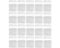 20 stuks, 20 x 25 cm, Dry-Bag waterdicht, geurdicht en veilig, voor vliegtuigreizen, toilettas, transparant (20 stuks)
