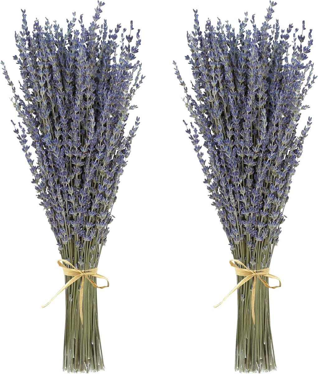 Gedroogde bloemen, nooit verdord decoratief bloemenboeket voor bloemstuk, bruiloft, thuis, kantoor, lavendelbundels — afbeelding 1