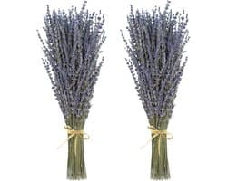 Gedroogde bloemen, nooit verdord decoratief bloemenboeket voor bloemstuk, bruiloft, thuis, kantoor, lavendelbundels