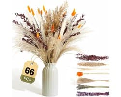 Gedroogd Pampasgras, 66 stuks Pampasdecoratie