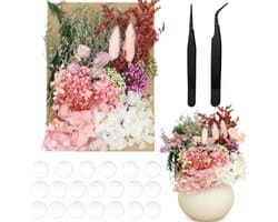 Gedroogde bloemen decoratieset, natuurlijk boeket droogbloemen, decoratie om te knutselen, met 2 clips en 20 rond dubbelzijdig plakband, 15 mm, voor woonkamer, huishouden, tafeldecoratie (kleur 1)