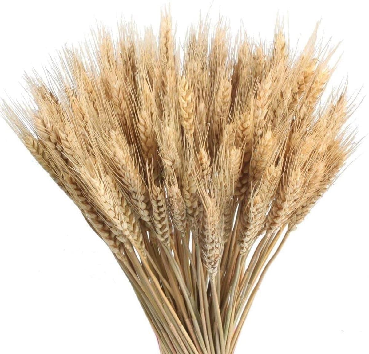 Gedroogde bloemen, kunstbloemen, tarwe, voor huisdecoratie, balkon, tuin, bruiloft, vaas, doe-het-zelf, 40 cm — afbeelding 1