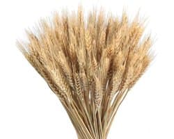 Gedroogde bloemen, kunstbloemen, tarwe, voor huisdecoratie, balkon, tuin, bruiloft, vaas, doe-het-zelf, 40 cm
