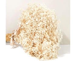 Droogbloemen Gypsophila Paniculata 43 cm, 7000 + ivoorwitte bloemen, natuurlijke gypsophila-takken voor doe-het-zelf krans, thuis, bruiloft, tafel, vazendecoratie