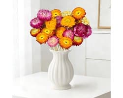 Gedroogde bloemen, 20 stuks veelkleurige gedroogde madeliefjes met stengels voor bruiloft, thuis en op kantoor, feestdecoratie