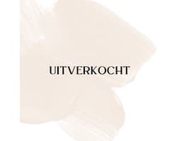 Waszakken - Set Van 4 Waszakken Voor Wasgoed - Wasnetten - Travel Organizer - Wasgoed - Waszakje Lingerie - Waszak bh - Wasnet Groot - Wasnet 4 STUKS