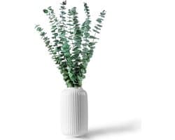 Gedroogde gedroogde gedroogde bloemen decoratief 45 cm natuurlijk fris groen met echte eucalyptusbladeren plant ideaal voor vazen bloemstukken bruiloftsdecoraties en wooncultuur