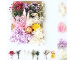 Gedroogde bloemen, decoratieset, gedroogde geperste bloemen, klein voor doe-het-zelf artistieke kaarsen, scrapbooking, handwerk, gemengd - roze tinten