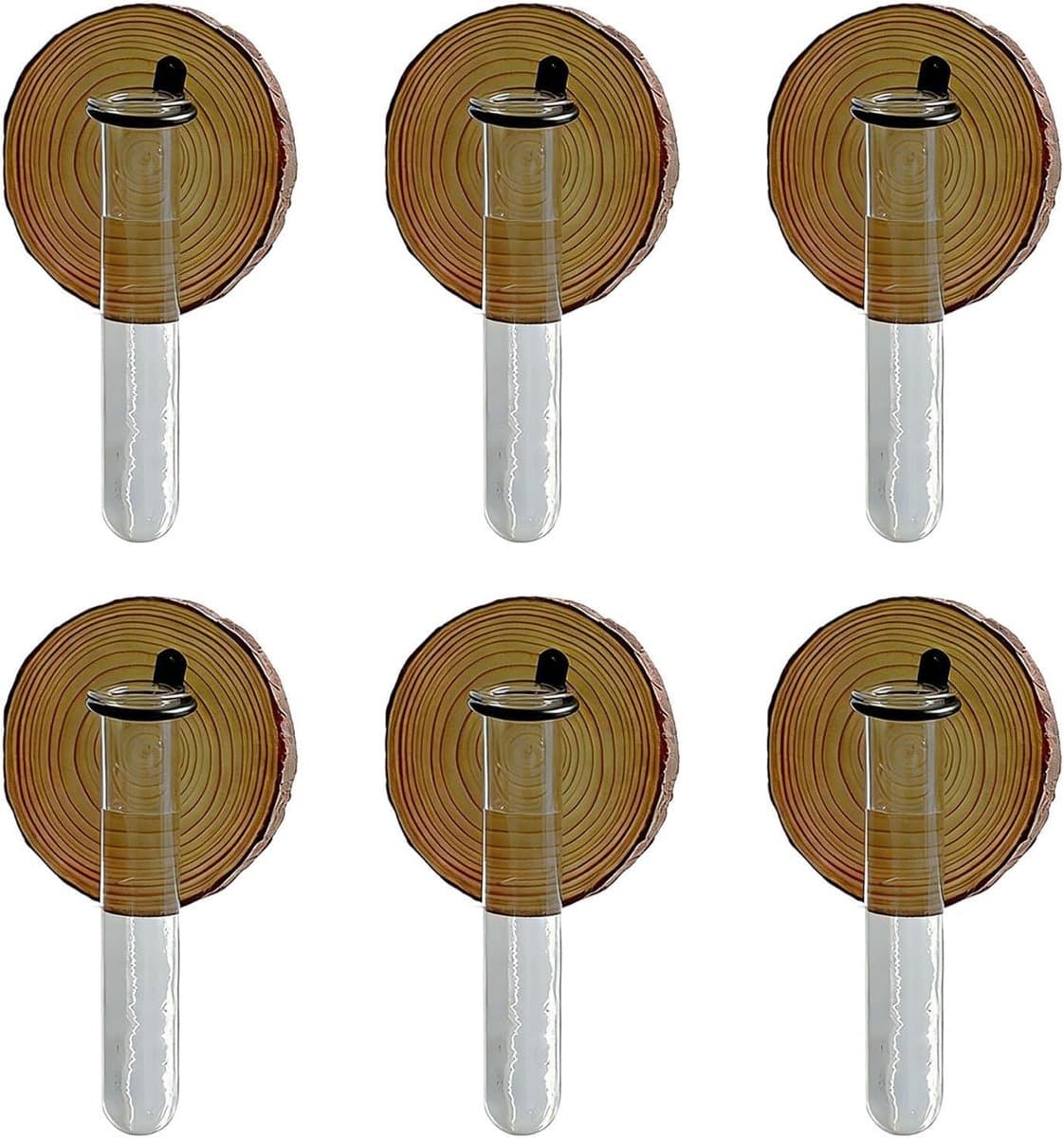 Stukken Houten Wandmontage Waterpropagatorsysteem — afbeelding 1
