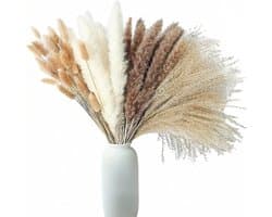 Gedroogde pampasbloemen, decoratie, pampasgras, XXL, gedroogde bloemen, decoratie voor woonkamer, slaapkamer, eettafel, bohemian sfeer