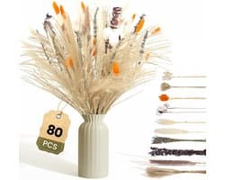 Gedroogd Pampasgras, 80 stuks Pampasdecoratie