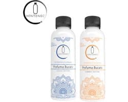 Wasparfum Hintenso Blue 500ml + Wasparfum Hintenso Summer 500ml - Proefpakket - 140 Wasbeurten - Inclusief 1 gratis tester - Frisse was - Heerlijke geur - Textielverfrisser – Wasverzachter – Zonnebrandcreme geur - Zomergeur - Wasparfum - Wasmachine
