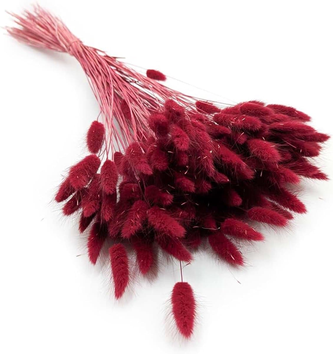 Dekogras gedroogd gras, siergras, konijnenstaarten, Lagurus Ovatus, fluwelen gras, hazenstaartgras, gedroogde bloemen, natuurlijk, boho, 120-150 stuks, 100 g, rode wijn — afbeelding 1