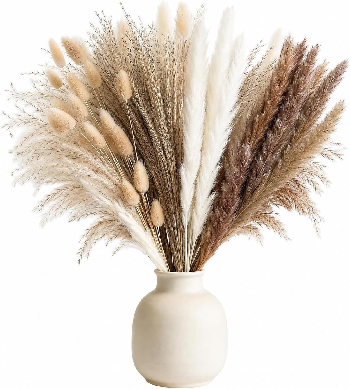 100 stuks decoratieve pampasgras, natuurlijk gedroogd pampasgrasdecoraties — afbeelding 1