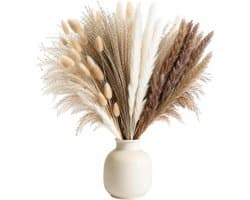 100 stuks decoratieve pampasgras, natuurlijk gedroogd pampasgrasdecoraties