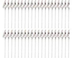 Fotoclips Metaal - Klemmen Memo - Presenteren Notities - Lange Strakke Bek - 40 stuks - Zilver