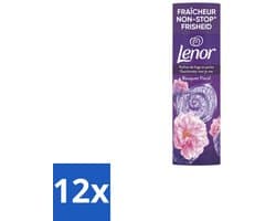 Lenor In-Wash Geurbooster Bloemen Boeket 19 wasbeurten 235 gr - Voordeelverpakking - 12 stuks