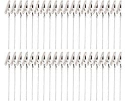 Fotoclips Met Stokje - Klemmen voor foto's - Decoratie en Organisatie - Roestbestendig Metaal - 40 stuks - Zilver