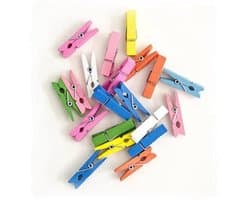 Mini houten wasknijpers 100 stuks - Veelkleurige clipjes voor kleding en foto's