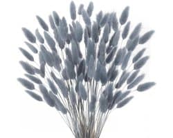 Gedroogde bloemen, konijnenstaart, grijs, natuurlijke droogbloemen, gras, konijnenstaart, gedroogde bloemen, decoratief voor thuis, tafel, bruiloft, vaas, feest