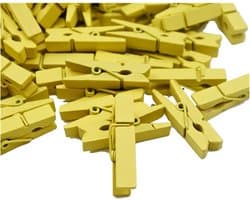 100 Stuks Houten Wasknijpers Mini Kleurrijk Natuurlijke Decoratie Clips