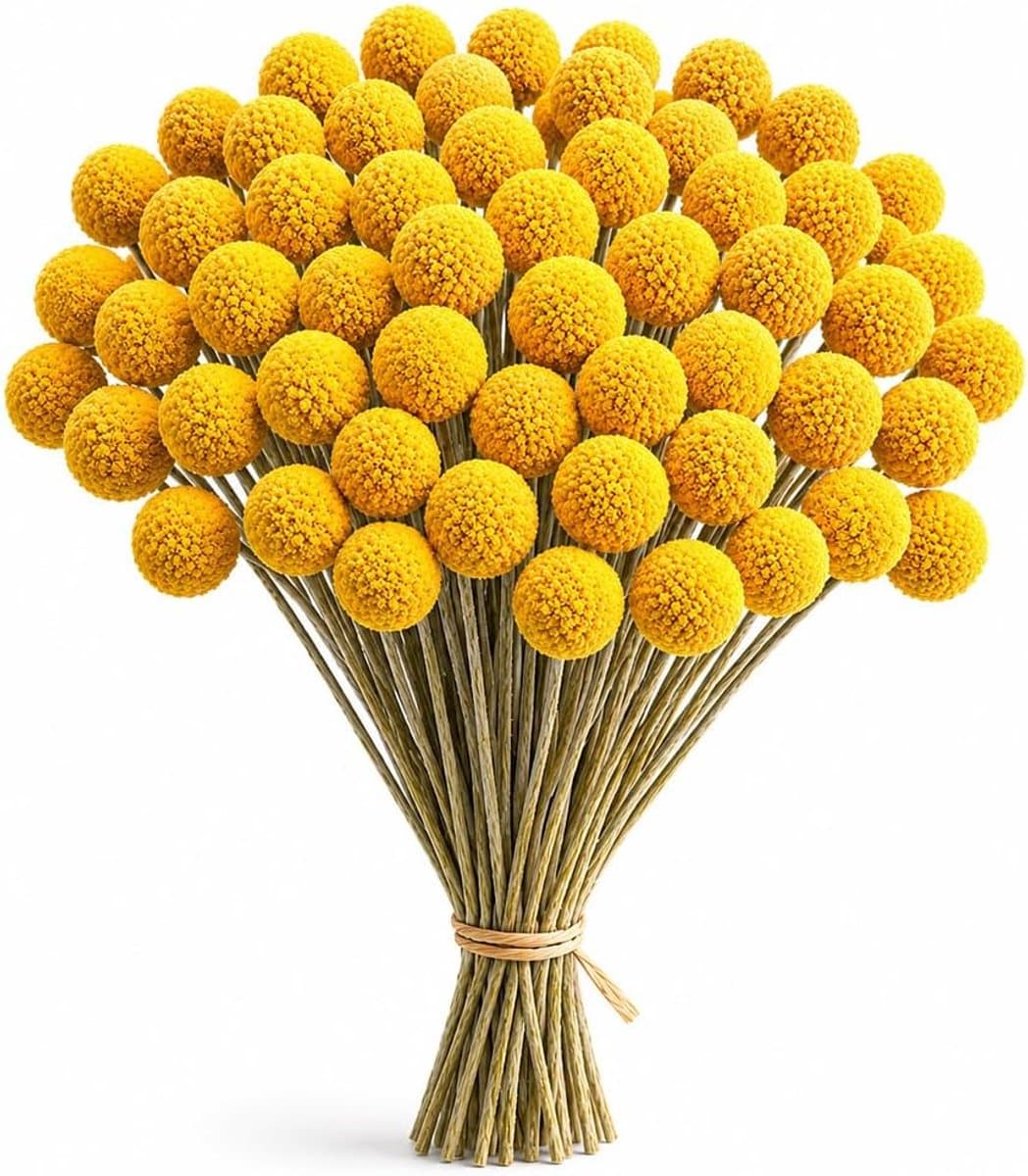 Gedroogde bloemen, gedroogde Craspedia gedroogde bloemen, natuurlijke gedroogde bloemen van Craspedia Globosa geel voor bloemstukken, decoraties met Craspedia (50 stuks) — afbeelding 1