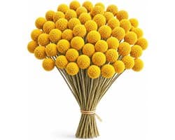 Gedroogde bloemen, gedroogde Craspedia gedroogde bloemen, natuurlijke gedroogde bloemen van Craspedia Globosa geel voor bloemstukken, decoraties met Craspedia (50 stuks)